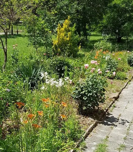 Florata 부르가스